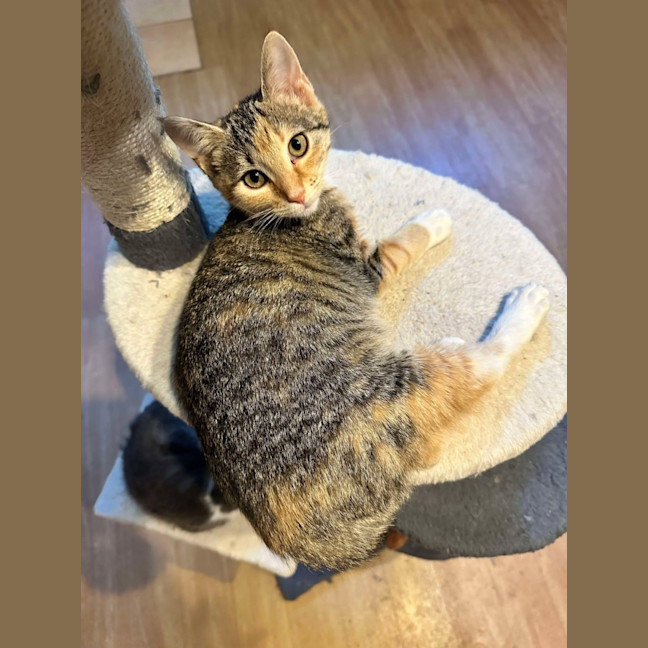 Photo of Wendy