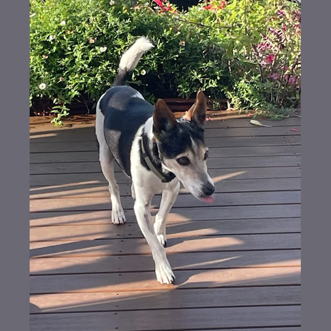 Photo of Billy 