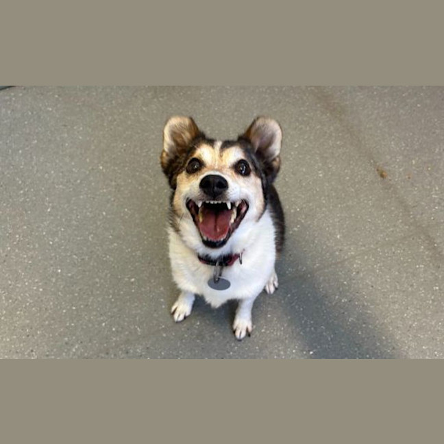 Photo of Billy