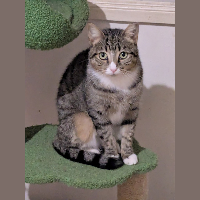 Photo of Blossom And Miette