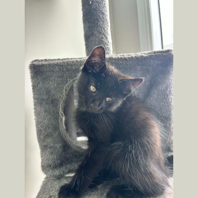Photo of Bruce