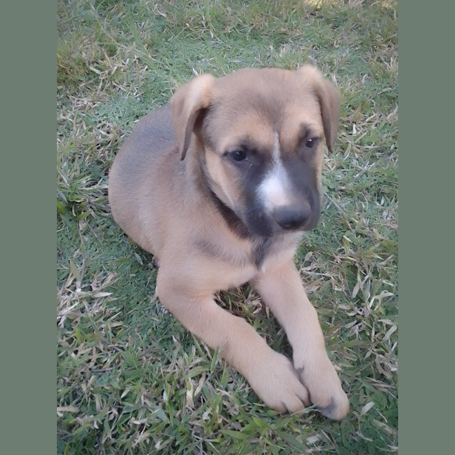 Photo of Joe Goldberg