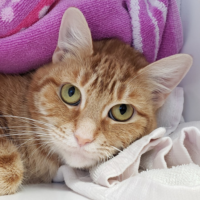 Photo of Valerie Sta013003