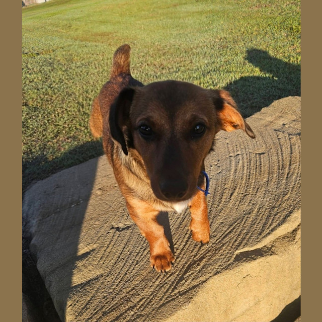 Photo of Elsa