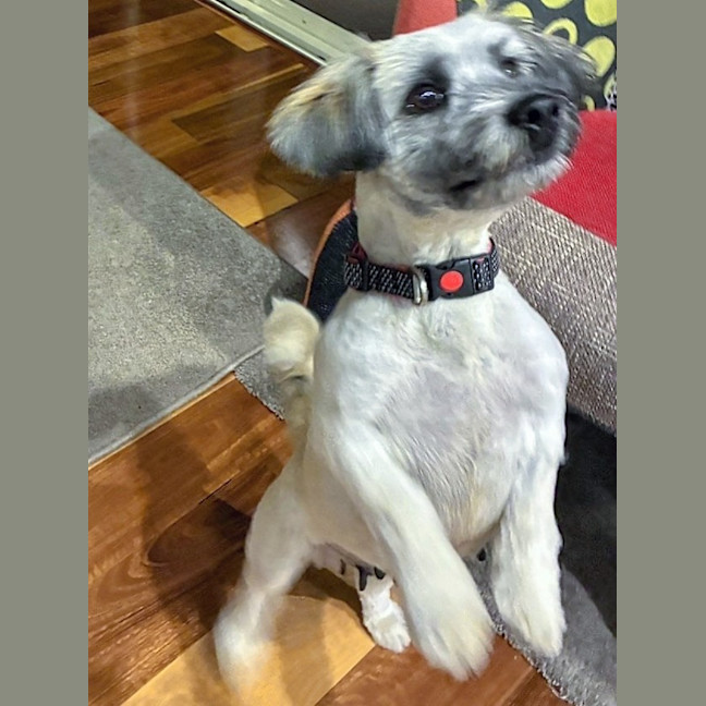 Photo of Maggie