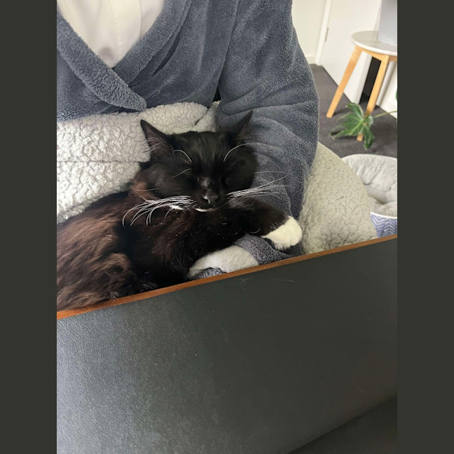 Photo of Albert