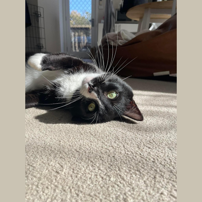 Photo of Gary