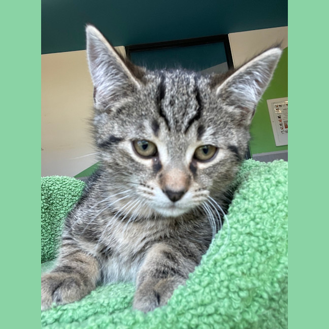 Photo of Mr. Wiggle
