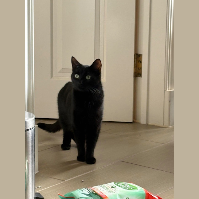 Photo of Cleo