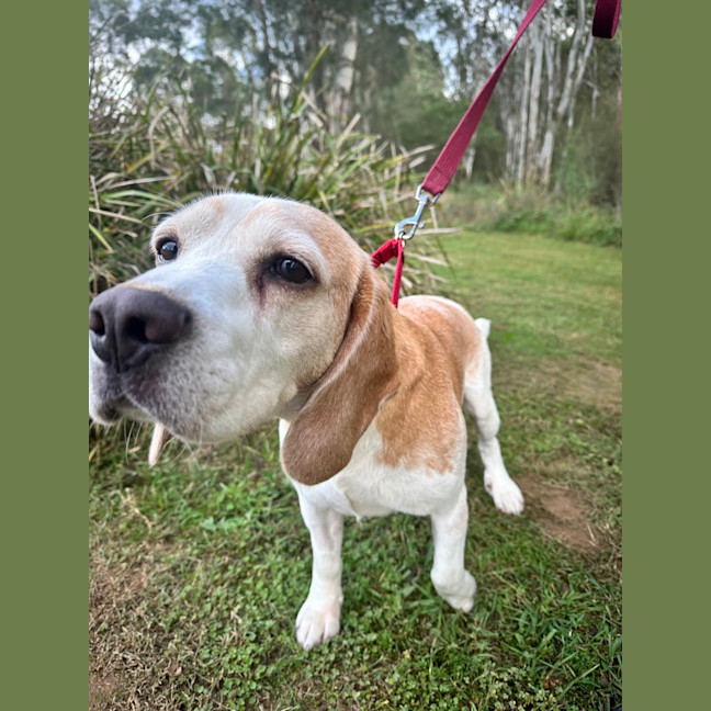 Photo of Post Malone