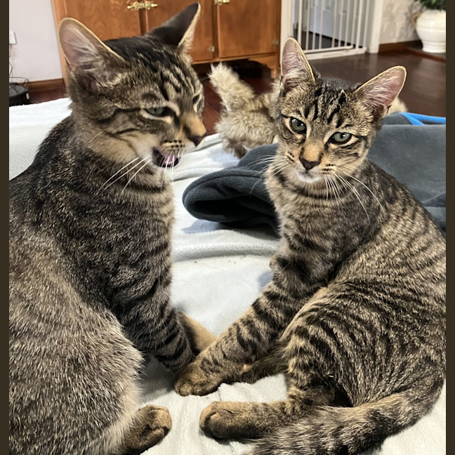 Photo of Felix And Forrest