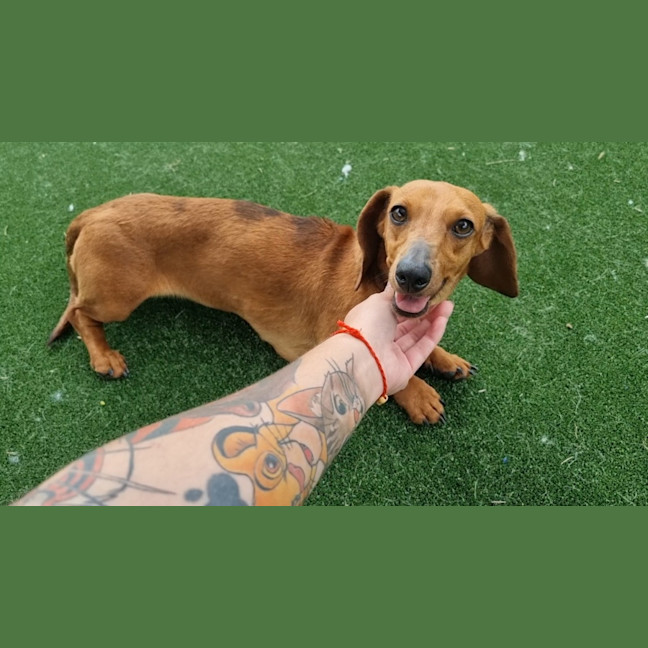 Photo of Dorothy Imp 2569