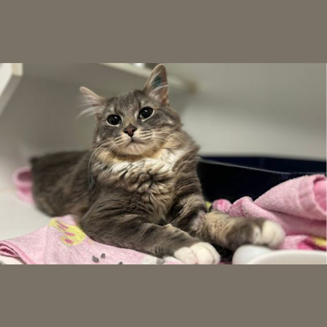 Photo of Hiro
