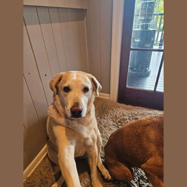 Photo of Riley And Lola