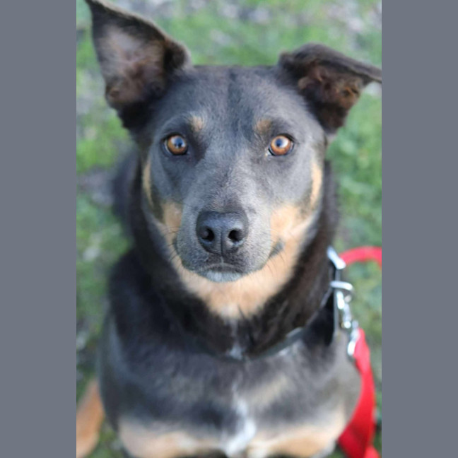 Photo of Asher