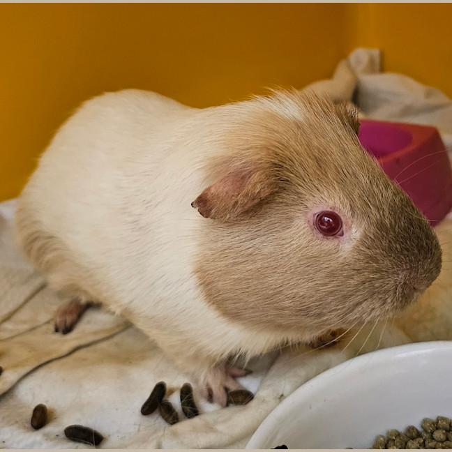 Photo of Fred