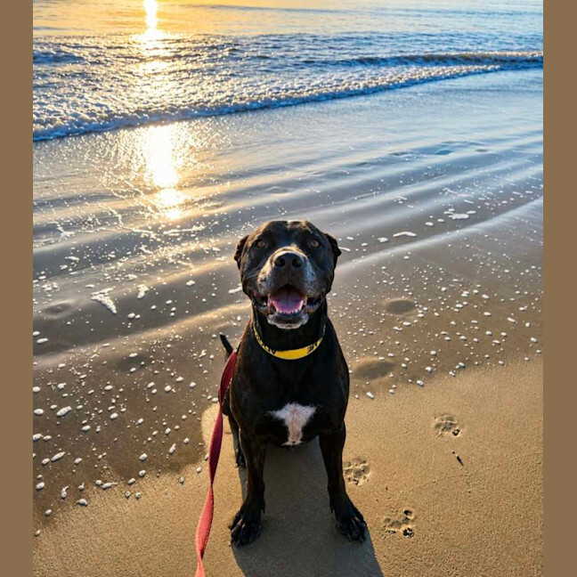 Photo of Ace