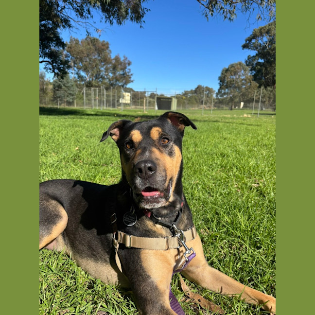 Photo of Tex 