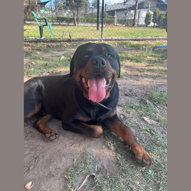 Photo of Max
