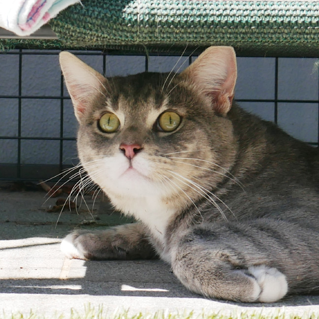 Photo of Bill Sta013662