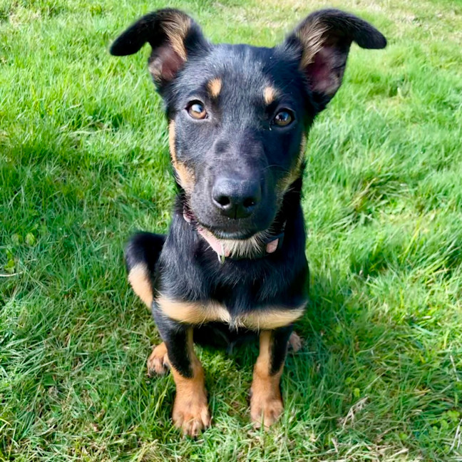 Photo of Monte
