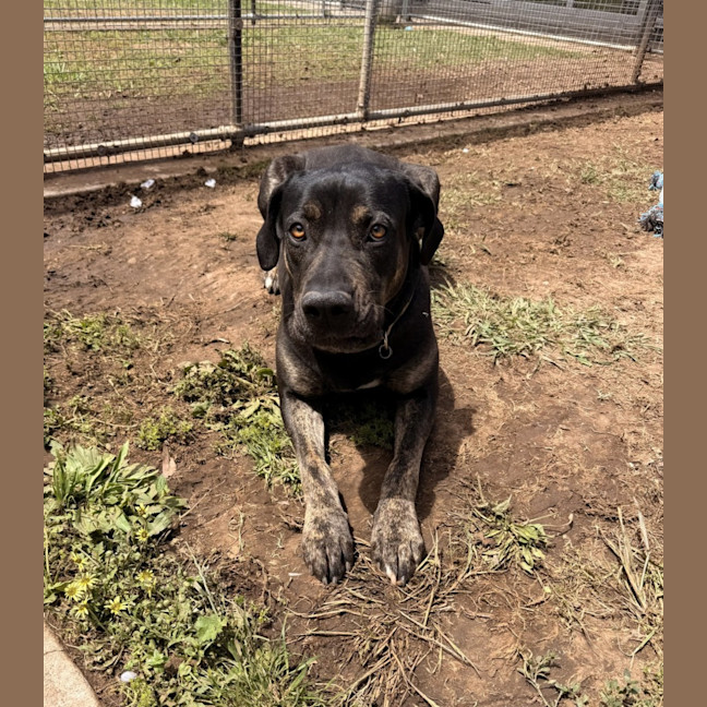 Photo of Kaizer
