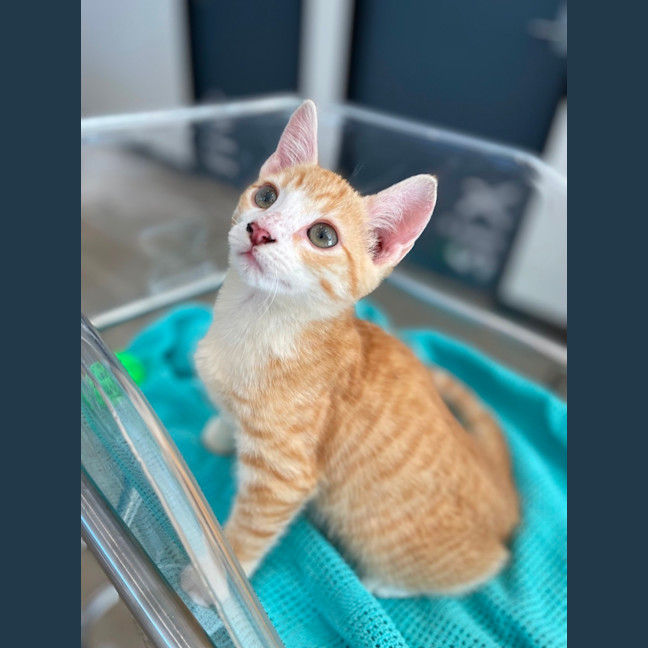Photo of Marm