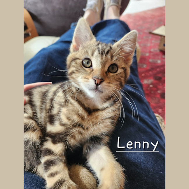 Photo of Lenny