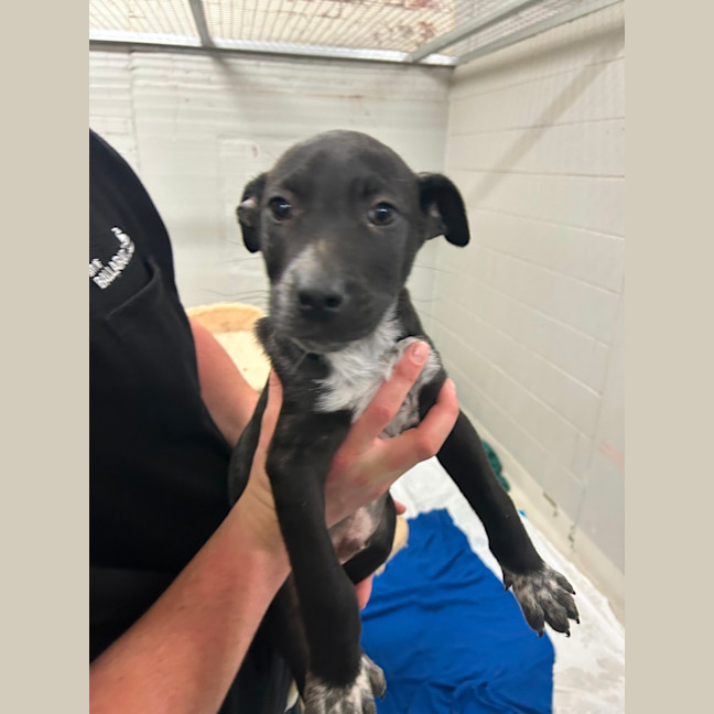 Photo of Quarter Past