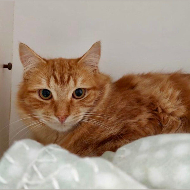 Photo of Sydney And Phoenix