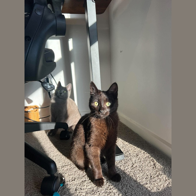 Photo of Otis