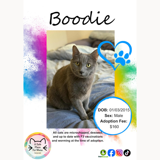 Photo of Boodie