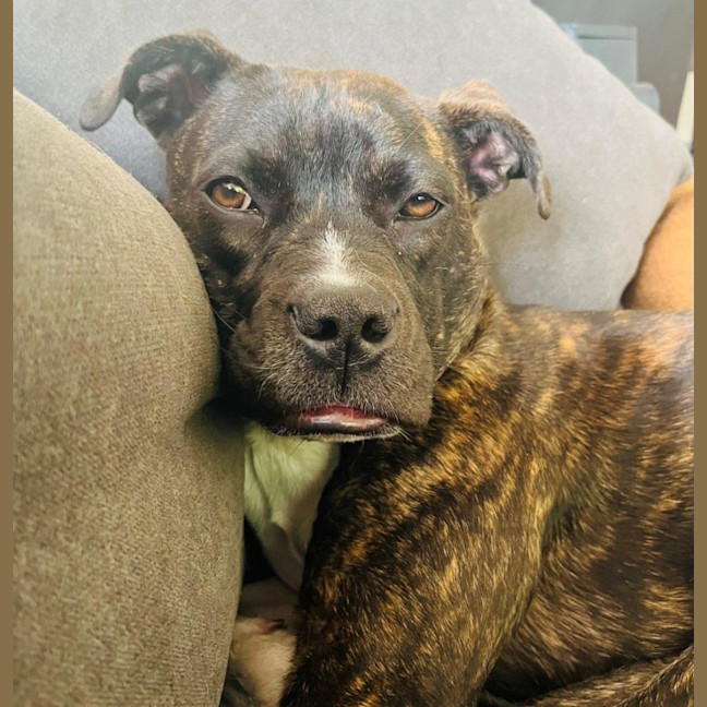 Photo of Daisy Haliwell