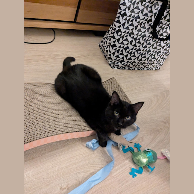 Photo of Lucy