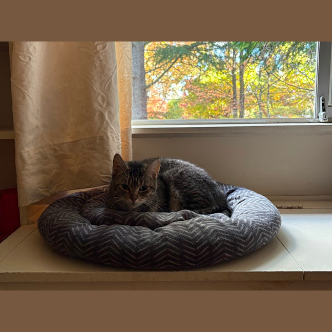 Photo of Jasmine