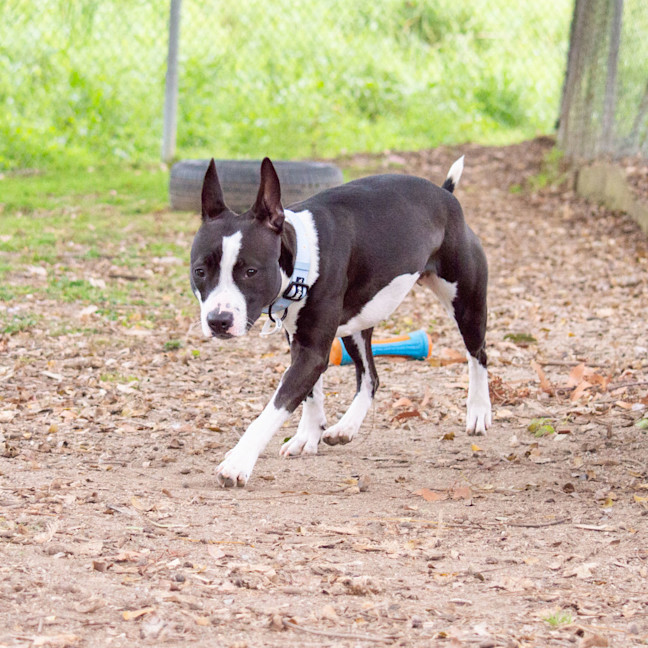 Photo of Lola