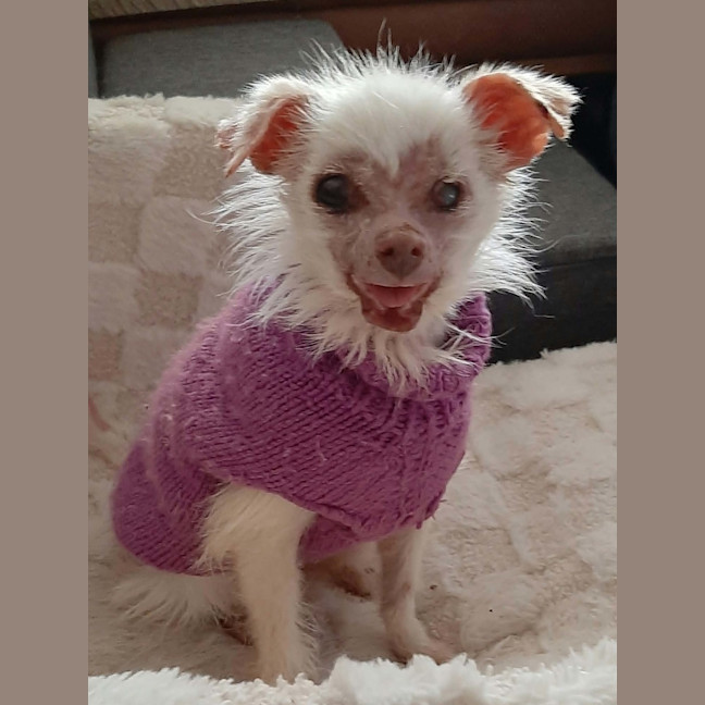 Photo of Mindy