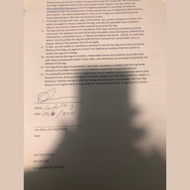 Photo of Brisby (Rizzo)