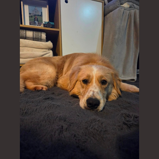 Photo of Stirfry