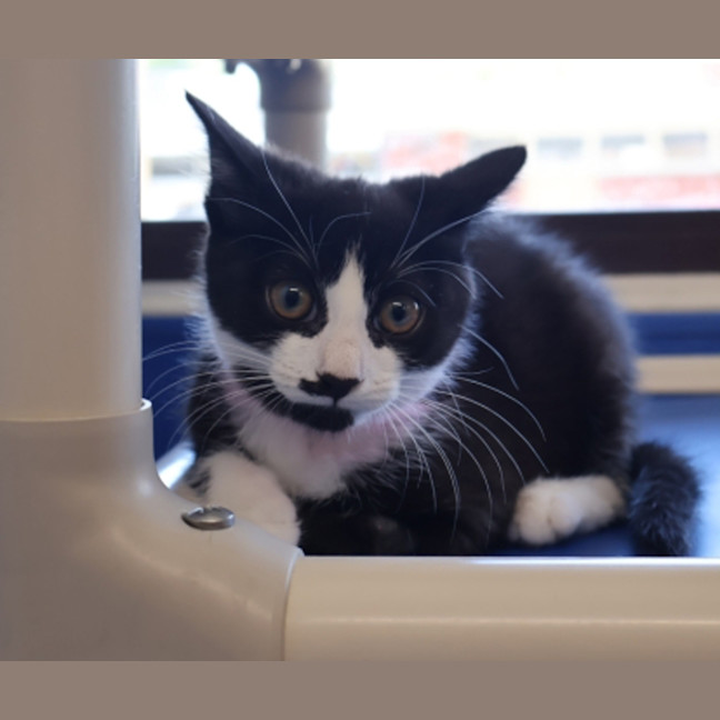 Photo of Max