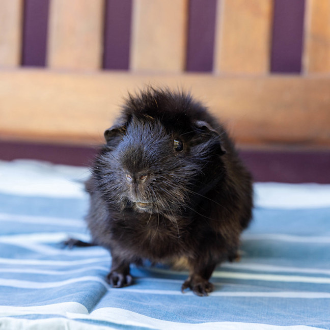 Photo of Jerry