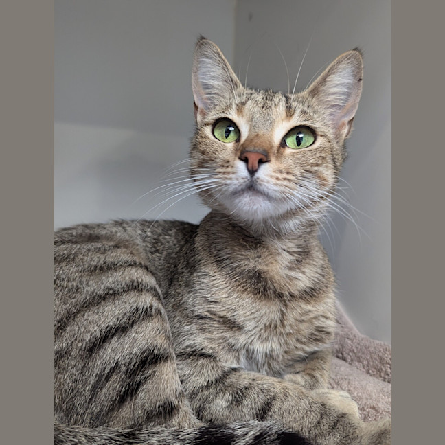 Photo of Junebug