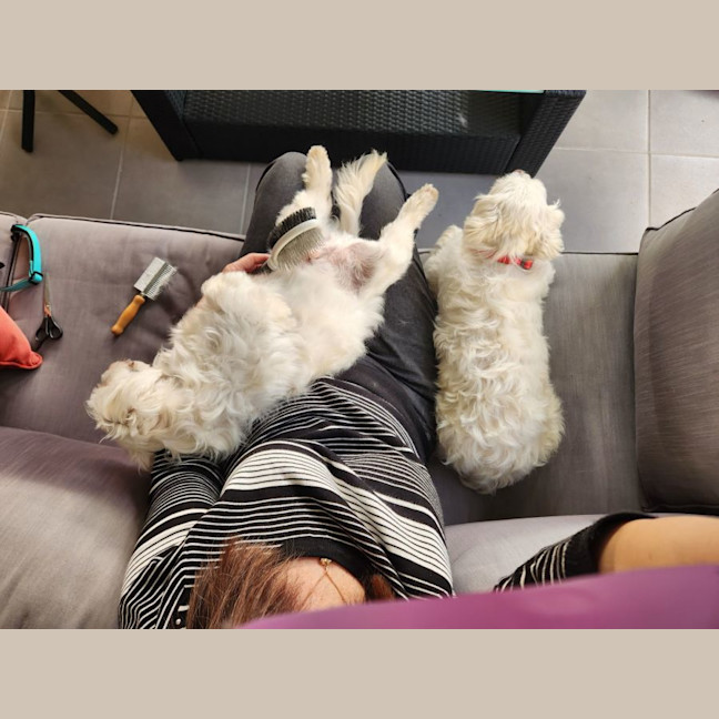 Photo of Ziggy And Mali