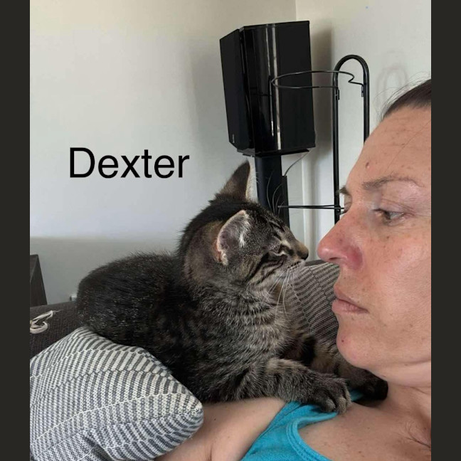 Photo of Dexter Meet Me@Dandenong Petstock Store 