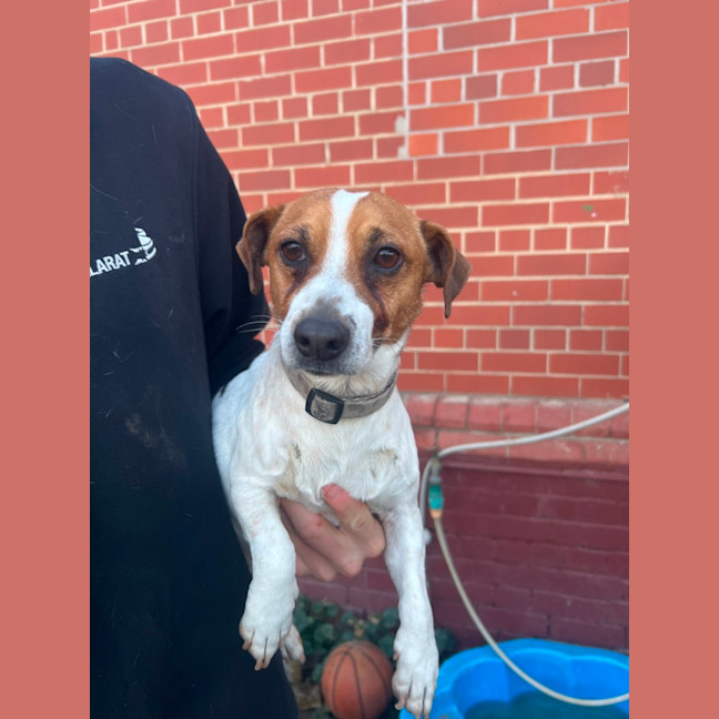 Photo of Bilbo Baggins