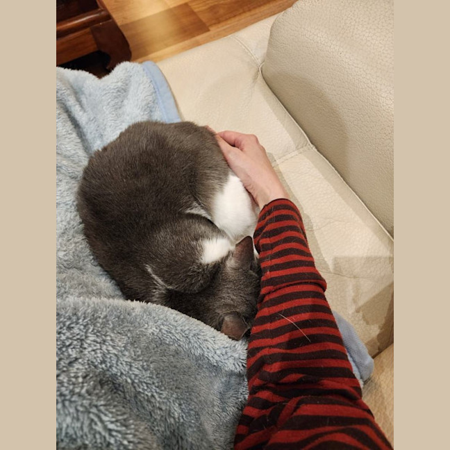 Photo of Lily
