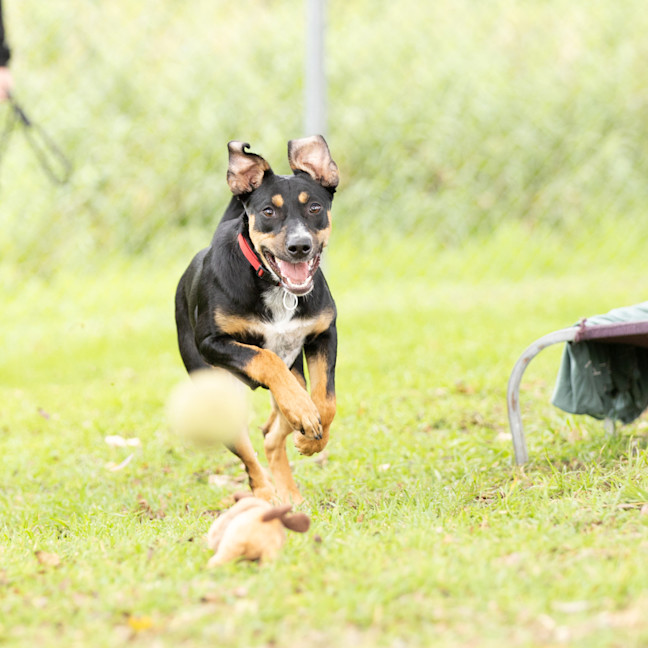 Photo of Delilah