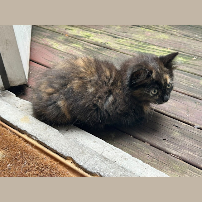Photo of Cash