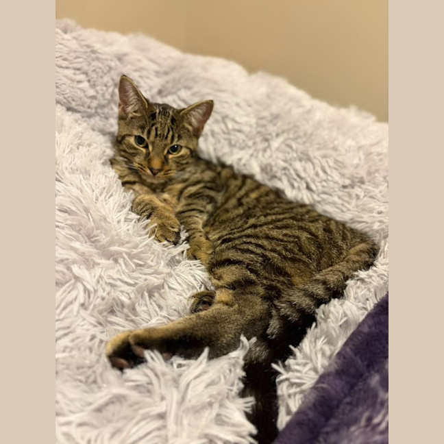 Photo of Major