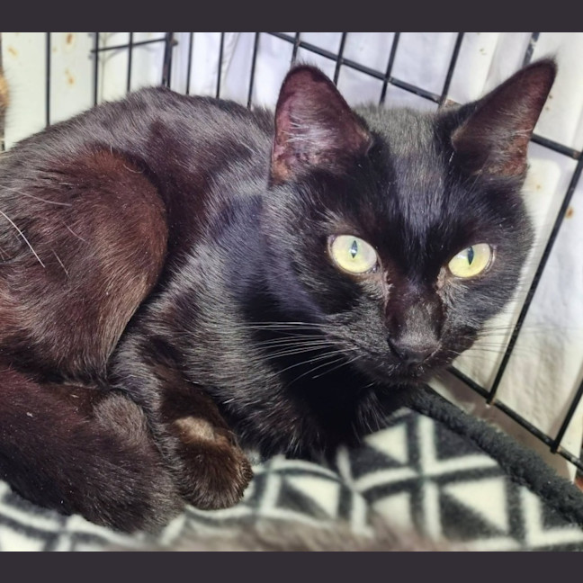 Photo of Monty